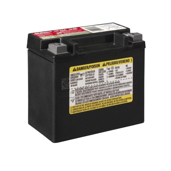 ACDelco Gold 36 Month Warranty Auxiliary AGM JIS 12BS Battery