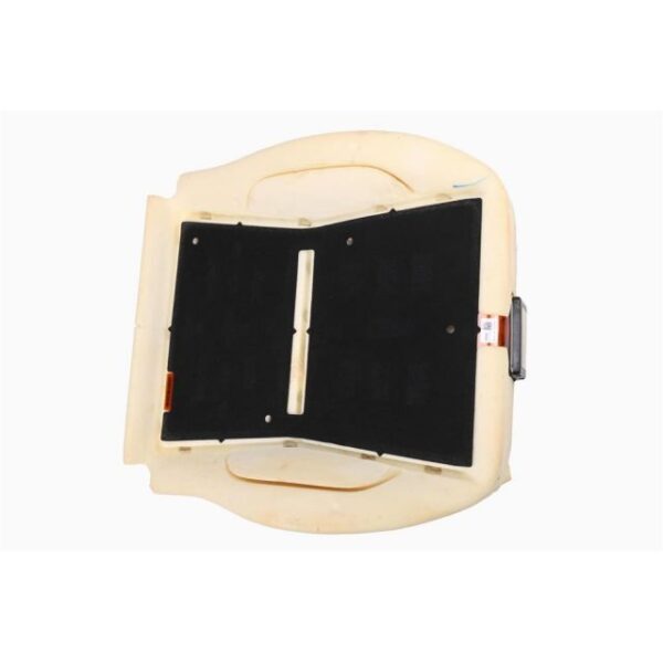 Front Passenger Presence Module