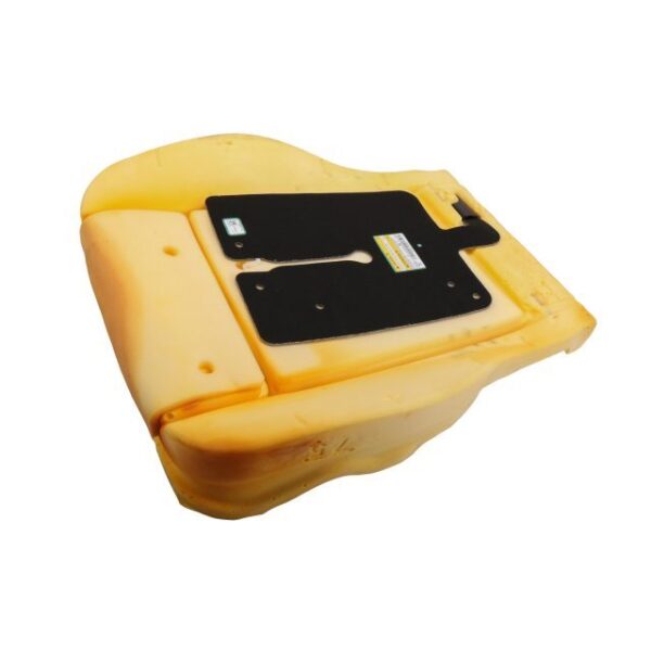 Airbag Front Passenger Presence Module