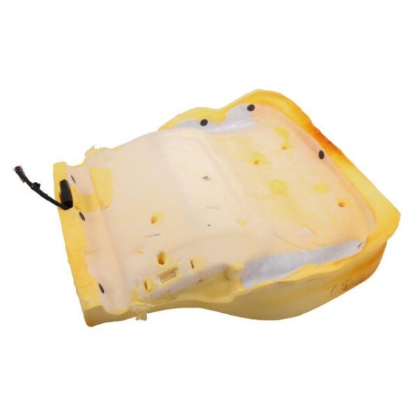 Airbag Front Passenger Presence Module