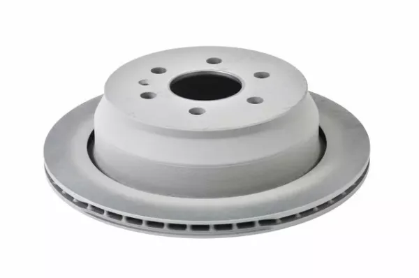 Rear Disc Brake Rotor